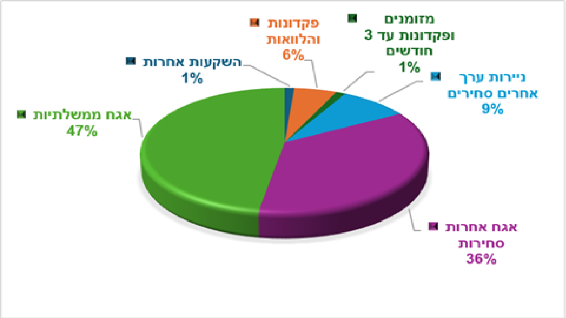 מזומן 0.78%, אג"ח ממשלתי 57.47%, אג"ח קונצרני 32.98%,ני"ע 0.33%, פקדונות 6.26%, השקעות אחרות 2.19% (הגדל)